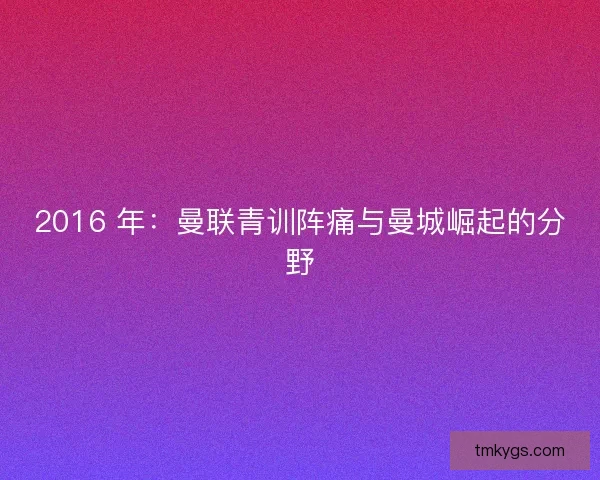 2016 年：曼联青训阵痛与曼城崛起的分野