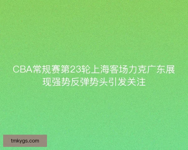 CBA常规赛第23轮上海客场力克广东展现强势反弹势头引发关注